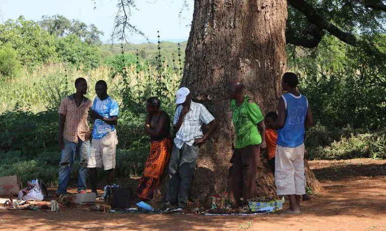 Utazók szafarijármű mellett a dél-afrikai körutazáson – galériakép 5