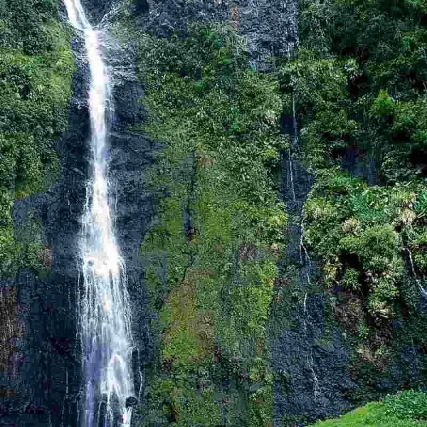Tahiti vízesése és trópusi növényzete