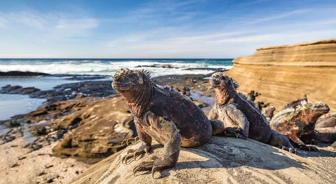 Helyi életkép az egyenlítő menti Galápagos-körutazáson