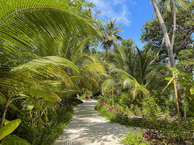 Malahini Kuda Bandos Resort – Maldív-szigeteki butikresort – galériakép 8