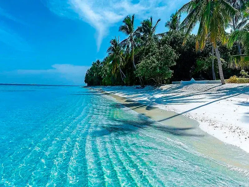 Isla Contoy partvidéke