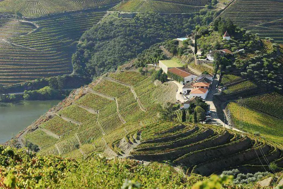 Élettel teli folyópart Portóban a Douro-völgyi bortúrán – galériakép 6