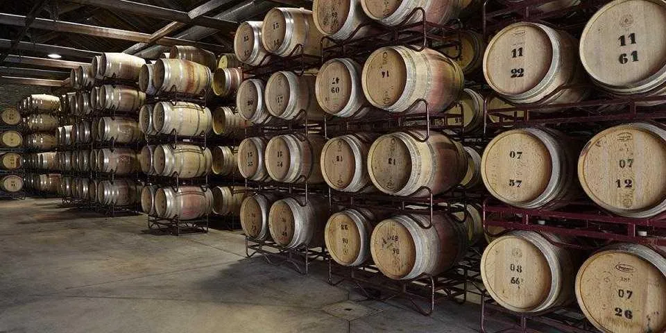 Élettel teli folyópart Portóban a Douro-völgyi bortúrán – galériakép 12