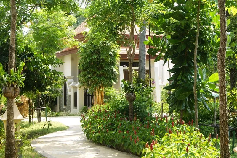 Spaélmény a Duangjitt Resort & Spa phuketi szállodában – galériakép 6