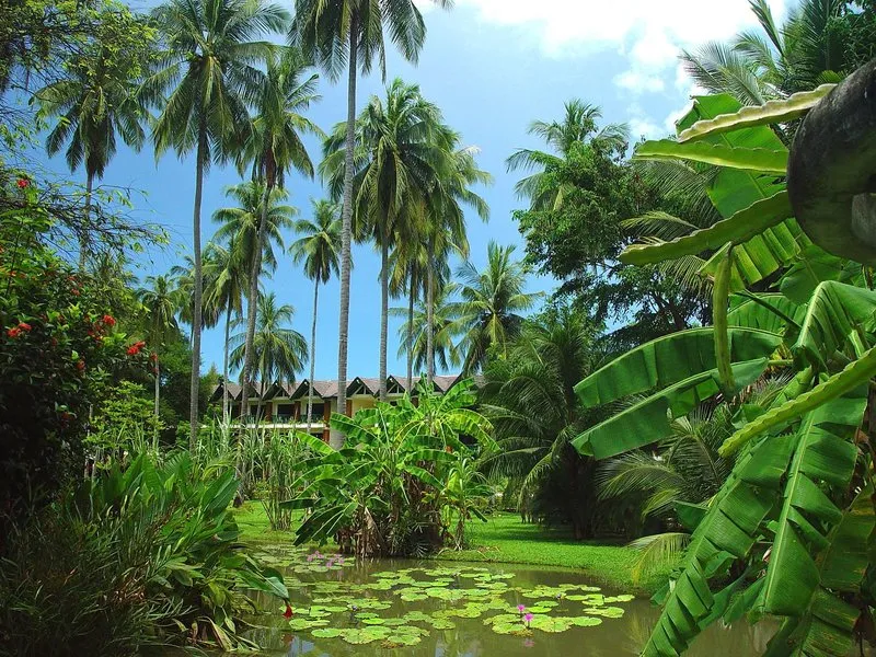 Spaélmény a Duangjitt Resort & Spa phuketi szállodában – galériakép 7