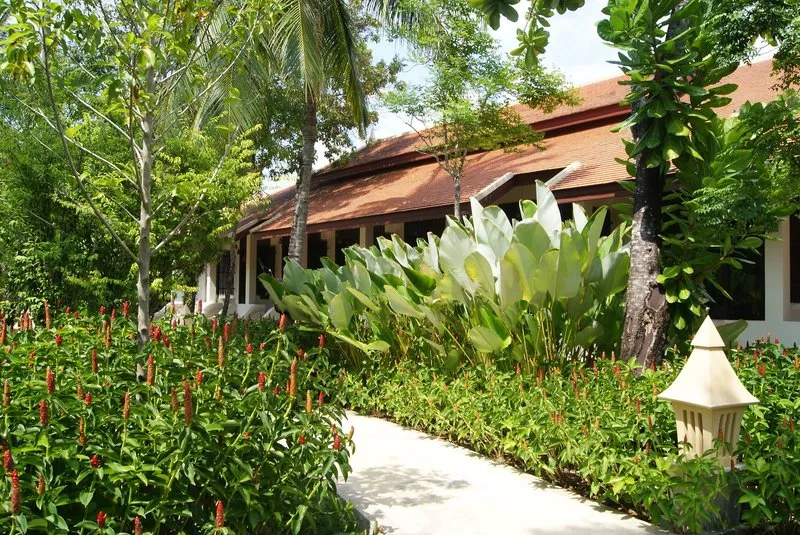 Spaélmény a Duangjitt Resort & Spa phuketi szállodában – galériakép 8