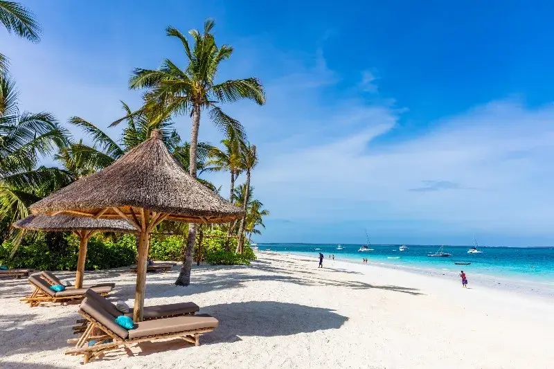 Pálmafás fehér homokos strand Zanzibáron